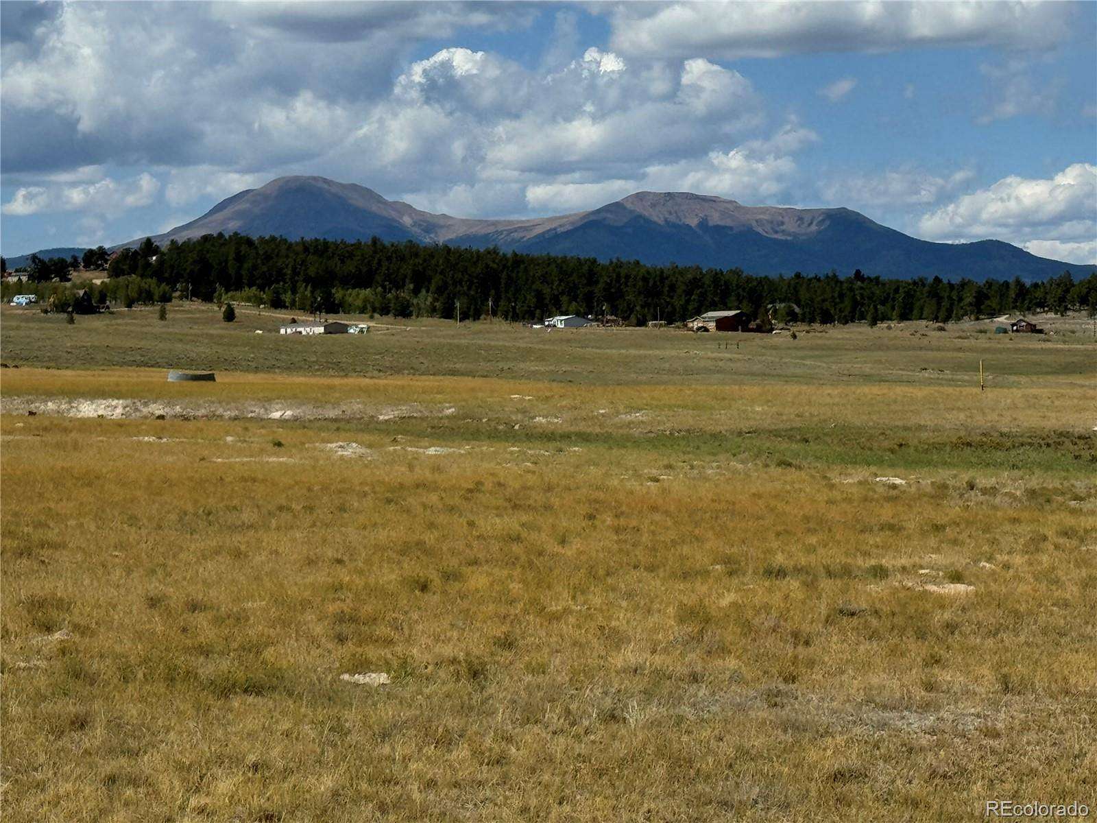 35.3 Acres of Land for Sale in Hartsel, Colorado