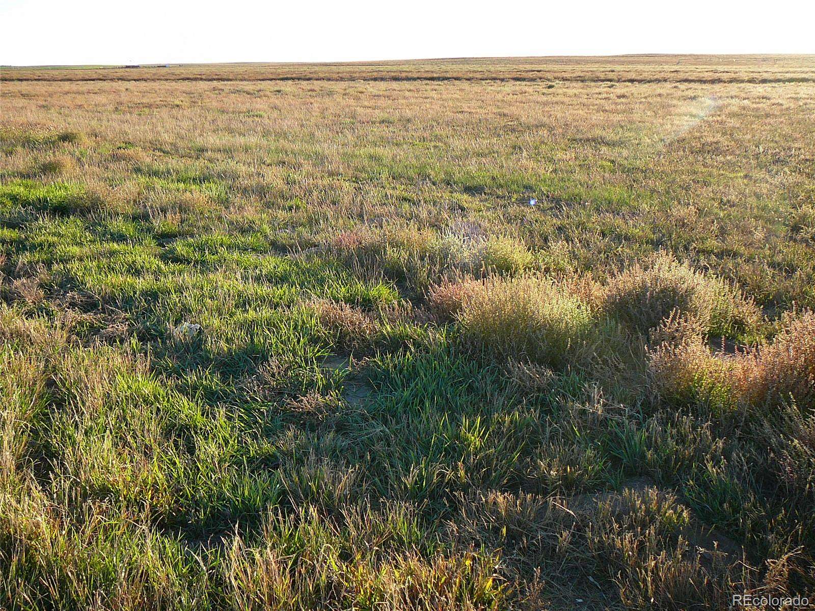 145 Acres of Land for Sale in Wiggins, Colorado