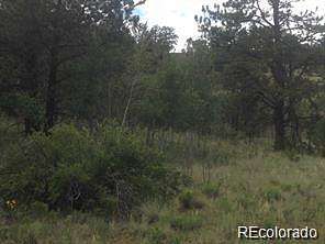 5.43 Acres of Residential Land for Sale in Hartsel, Colorado