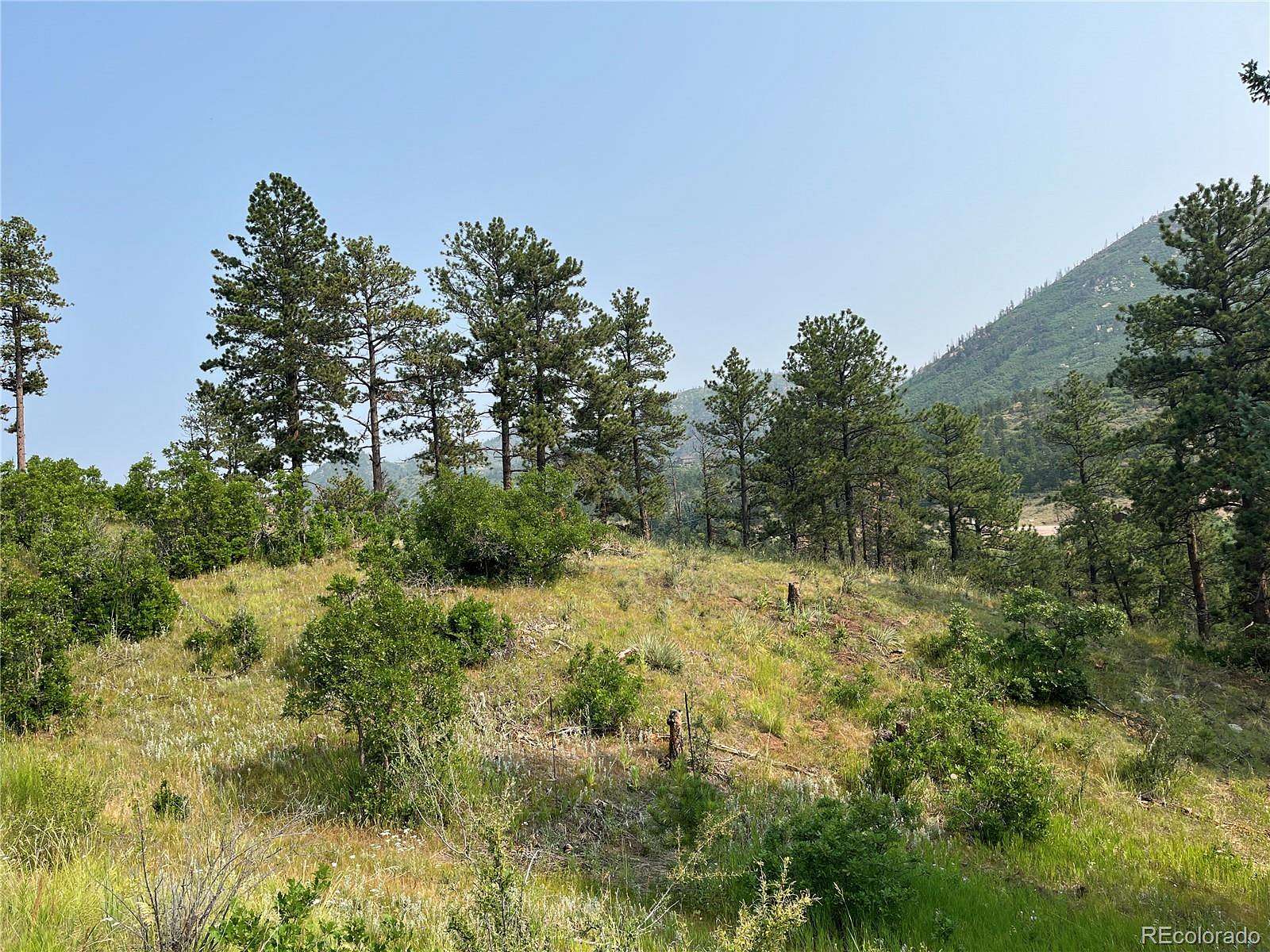 2.5 Acres of Residential Land for Sale in Cascade, Colorado
