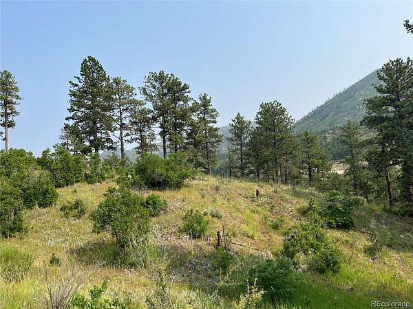 2.5 Acres of Residential Land for Sale in Cascade, Colorado