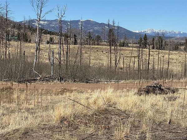 1 Acre of Residential Land for Sale in Fort Garland, Colorado