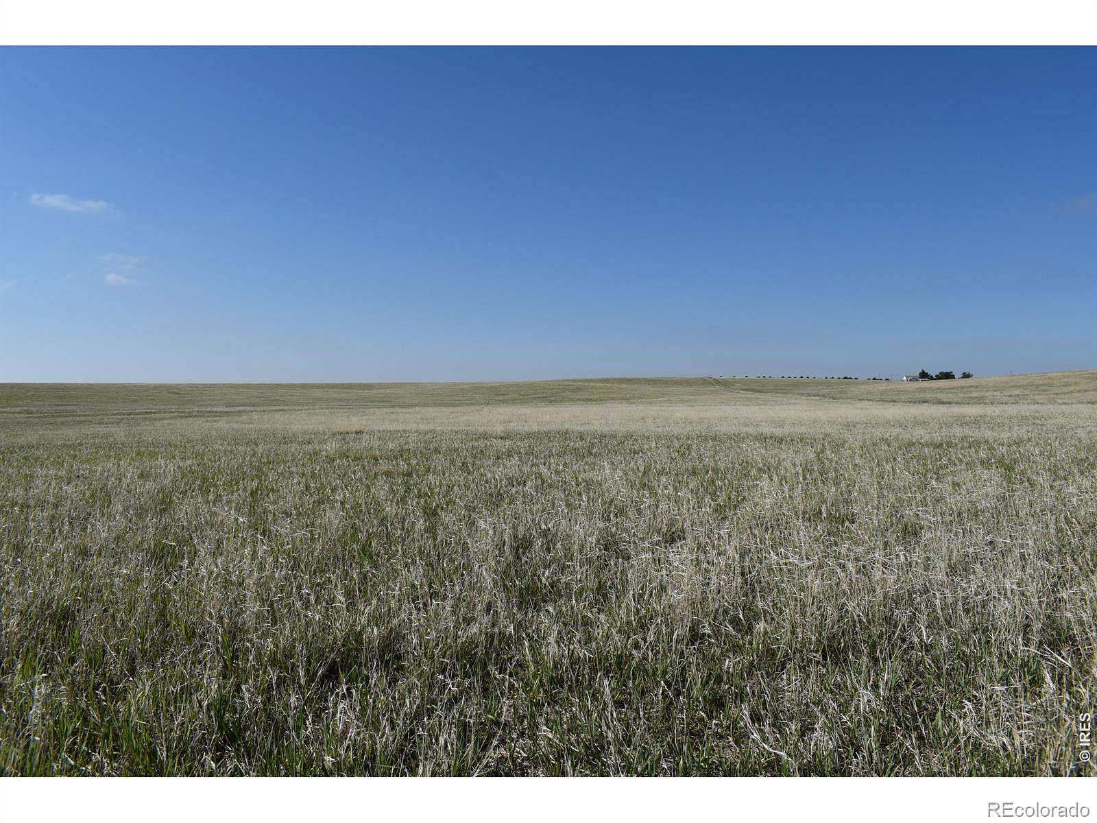 75 Acres of Agricultural & Residential Land for Sale in Akron, Colorado