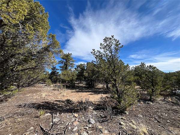 3.8 Acres of Residential Land for Sale in Buena Vista, Colorado