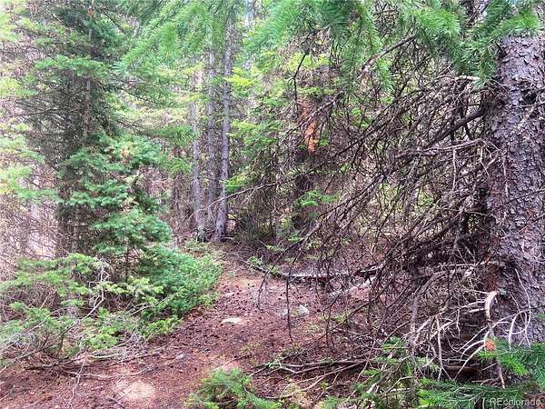 10 Acres of Land for Sale in Black Hawk, Colorado