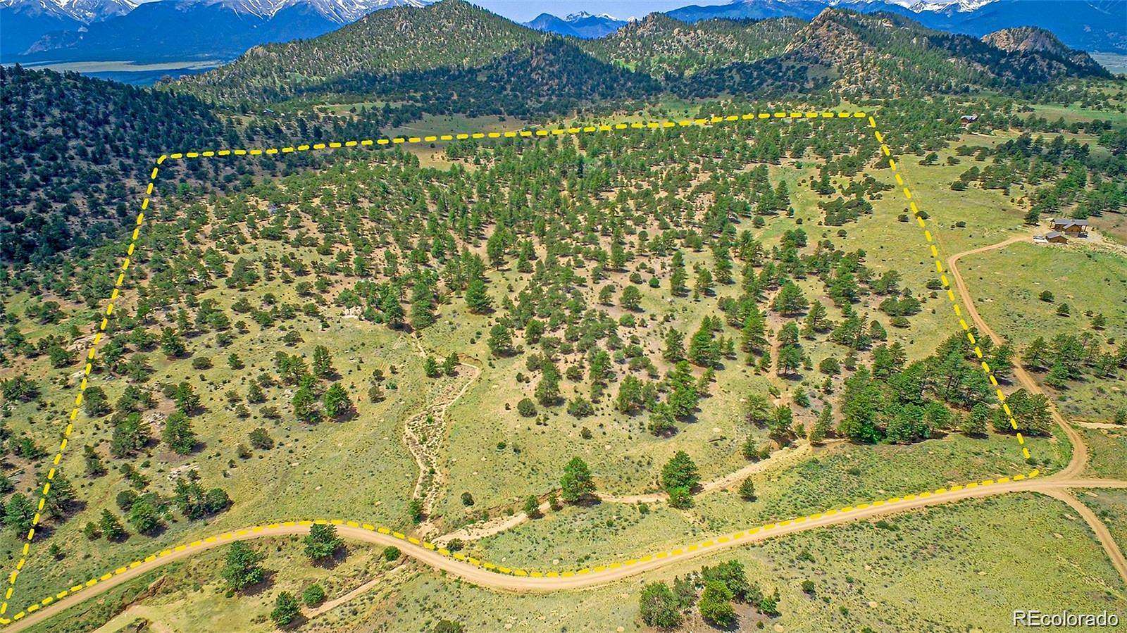 60.6 Acres of Land for Sale in Buena Vista, Colorado