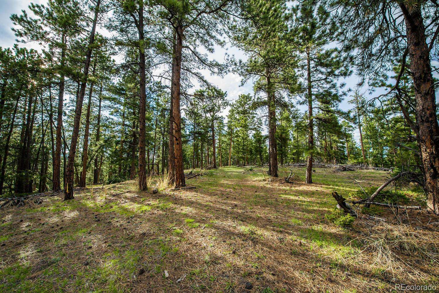 25 Acres of Recreational & Residential Land for Sale in Conifer, Colorado