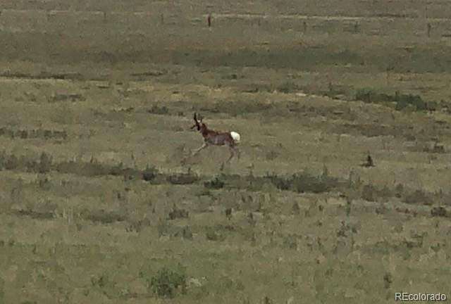 323 Acres of Land for Sale in Atwood, Colorado