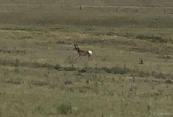 323 Acres of Land for Sale in Atwood, Colorado