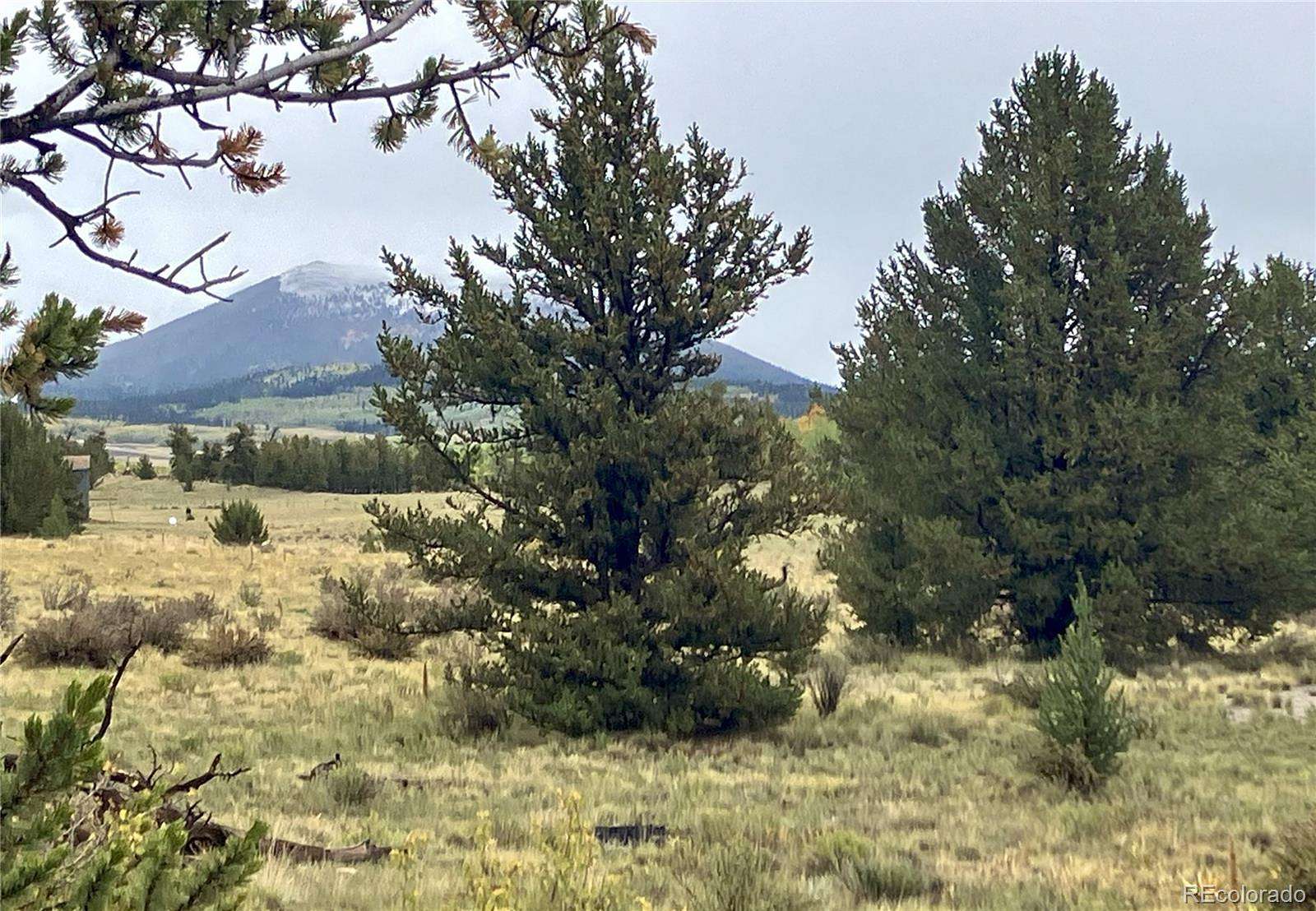 5 Acres of Residential Land for Sale in Fairplay, Colorado