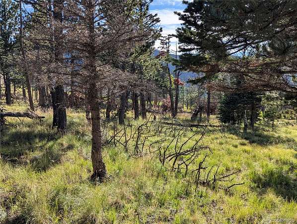 1.43 Acres of Residential Land for Sale in Fort Garland, Colorado