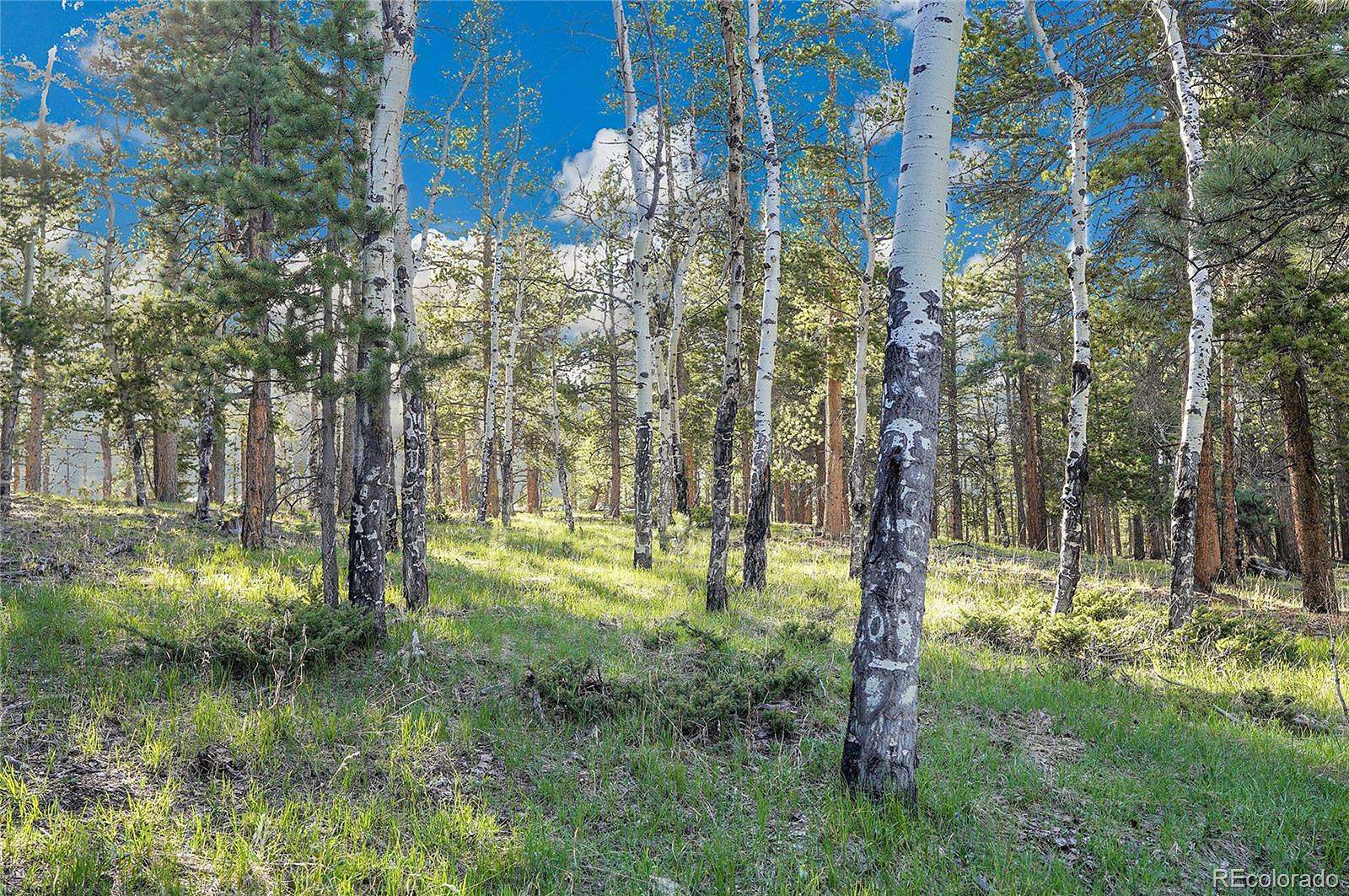 10 Acres of Land for Sale in Conifer, Colorado