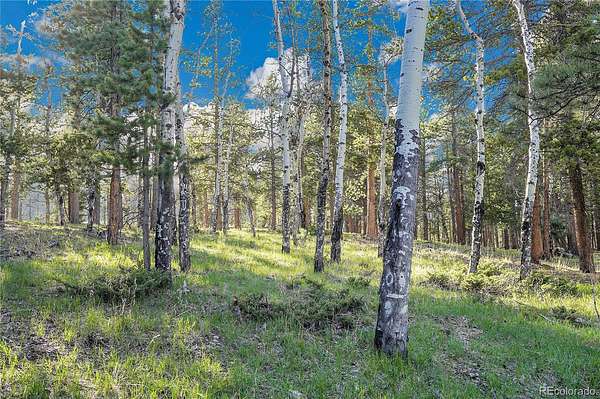 10 Acres of Land for Sale in Conifer, Colorado