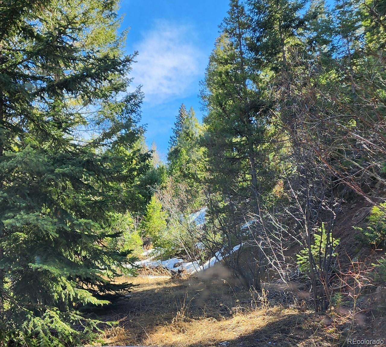 1 Acre of Residential Land for Sale in Morrison, Colorado