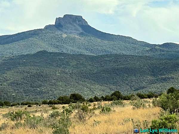 35.5 Acres of Recreational & Residential Land for Sale in Trinidad, Colorado