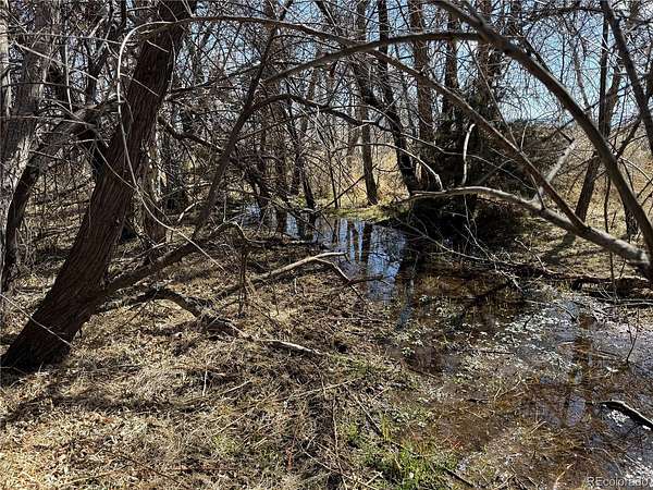 5 Acres of Land for Sale in Alamosa, Colorado