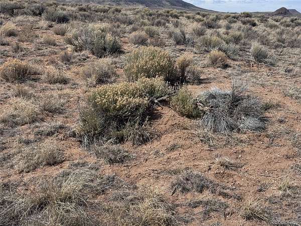 5 Acres of Residential Land for Sale in San Luis, Colorado