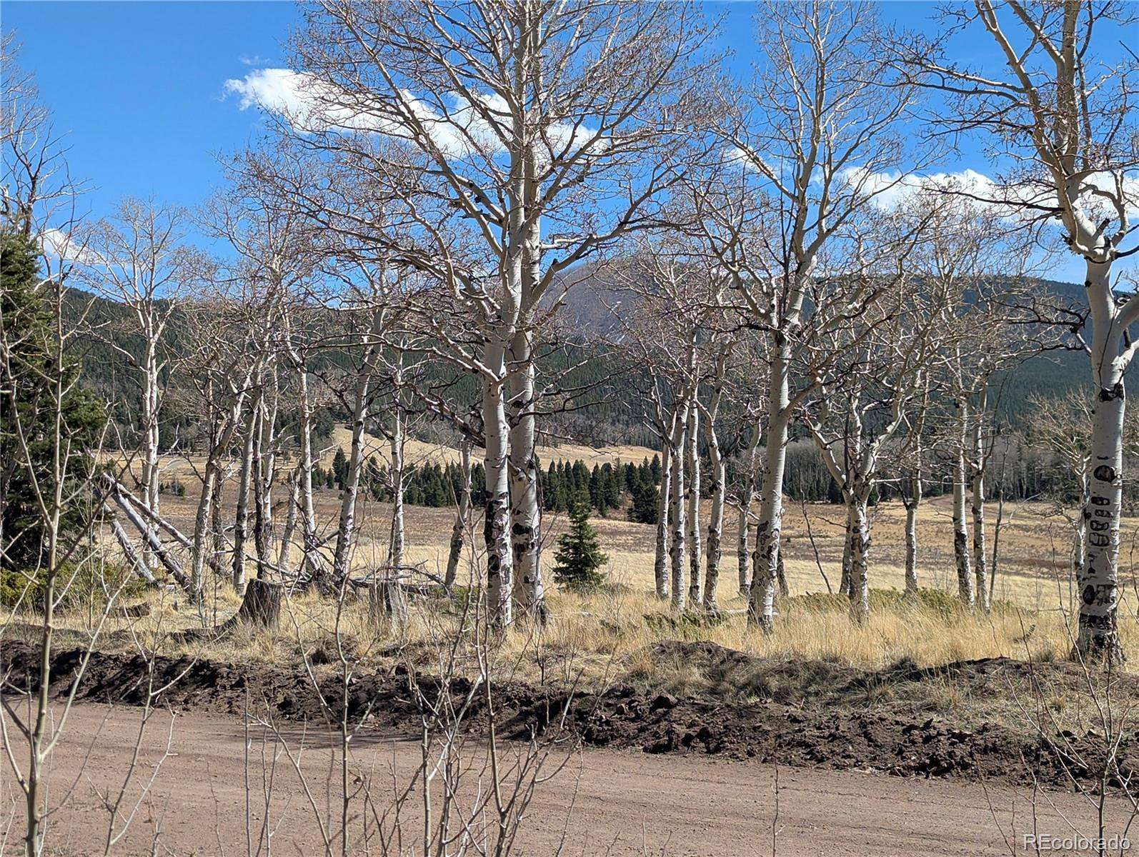 1.8 Acres of Residential Land for Sale in Fort Garland, Colorado