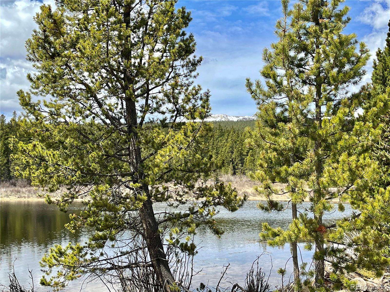 10 Acres of Recreational & Residential Land for Sale in Fairplay, Colorado