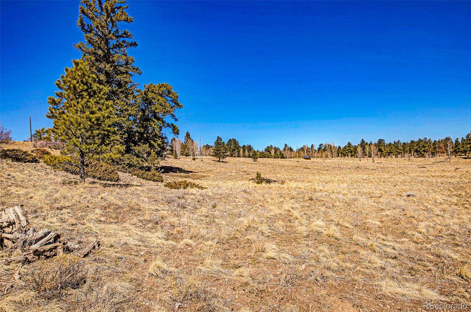 2.5 Acres of Residential Land for Sale in Hartsel, Colorado