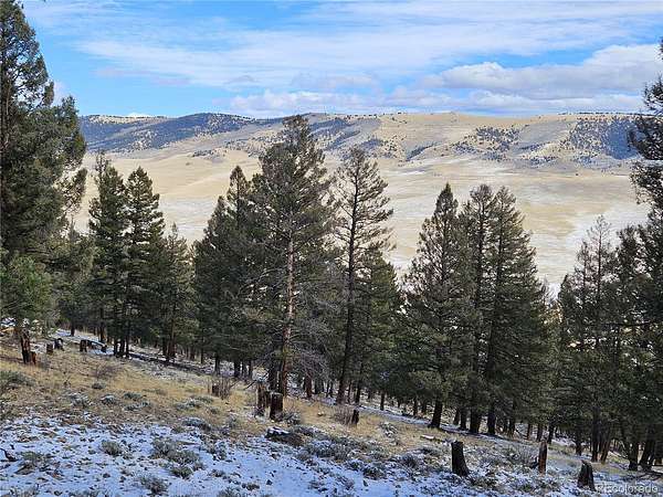 3.75 Acres of Residential Land for Sale in Fairplay, Colorado