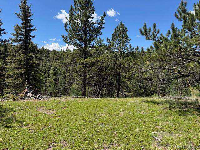 1.14 Acres of Residential Land for Sale in Divide, Colorado