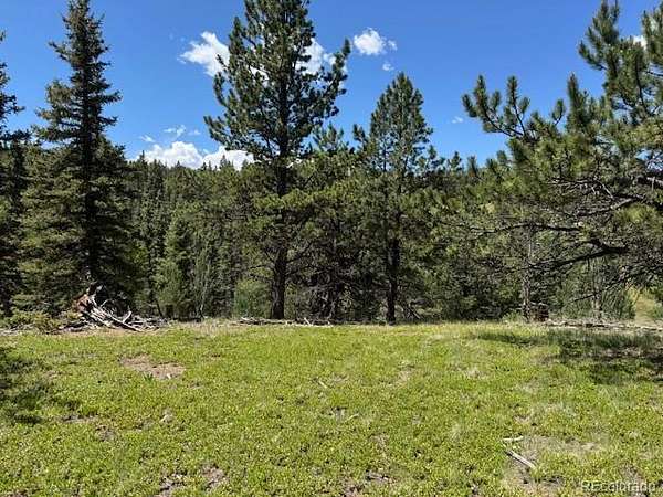 1.14 Acres of Residential Land for Sale in Divide, Colorado