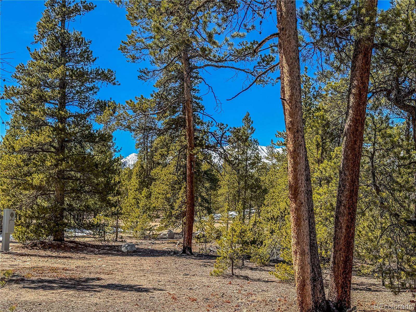 0.3 Acres of Residential Land for Sale in Twin Lakes, Colorado