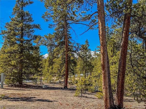 0.3 Acres of Residential Land for Sale in Twin Lakes, Colorado