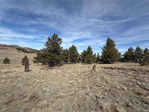 7.74 Acres of Residential Land for Sale in Hartsel, Colorado