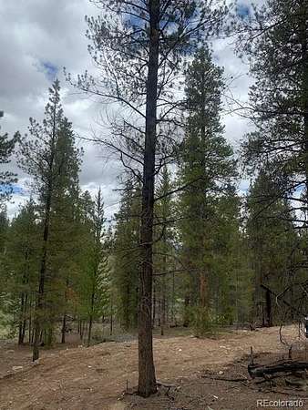 0.3 Acres of Residential Land for Sale in Leadville, Colorado