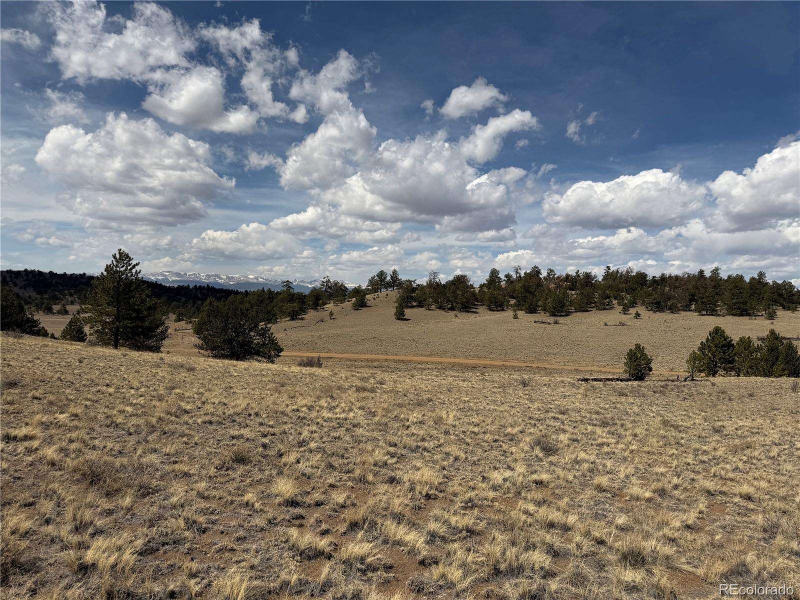 5 Acres of Residential Land for Sale in Hartsel, Colorado