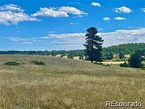 35.1 Acres of Agricultural & Residential Land for Sale in Elbert, Colorado