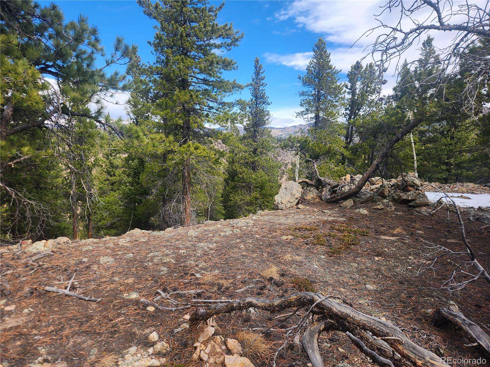 35.9 Acres of Recreational Land for Sale in Idaho Springs, Colorado