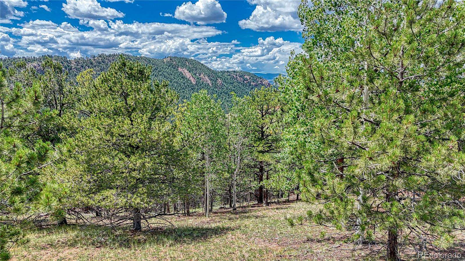 2 Acres of Residential Land for Sale in Cripple Creek, Colorado