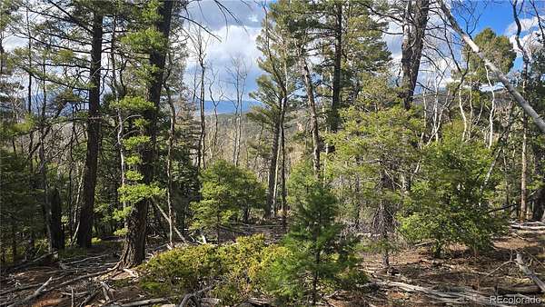 6.3 Acres of Residential Land for Sale in Fort Garland, Colorado