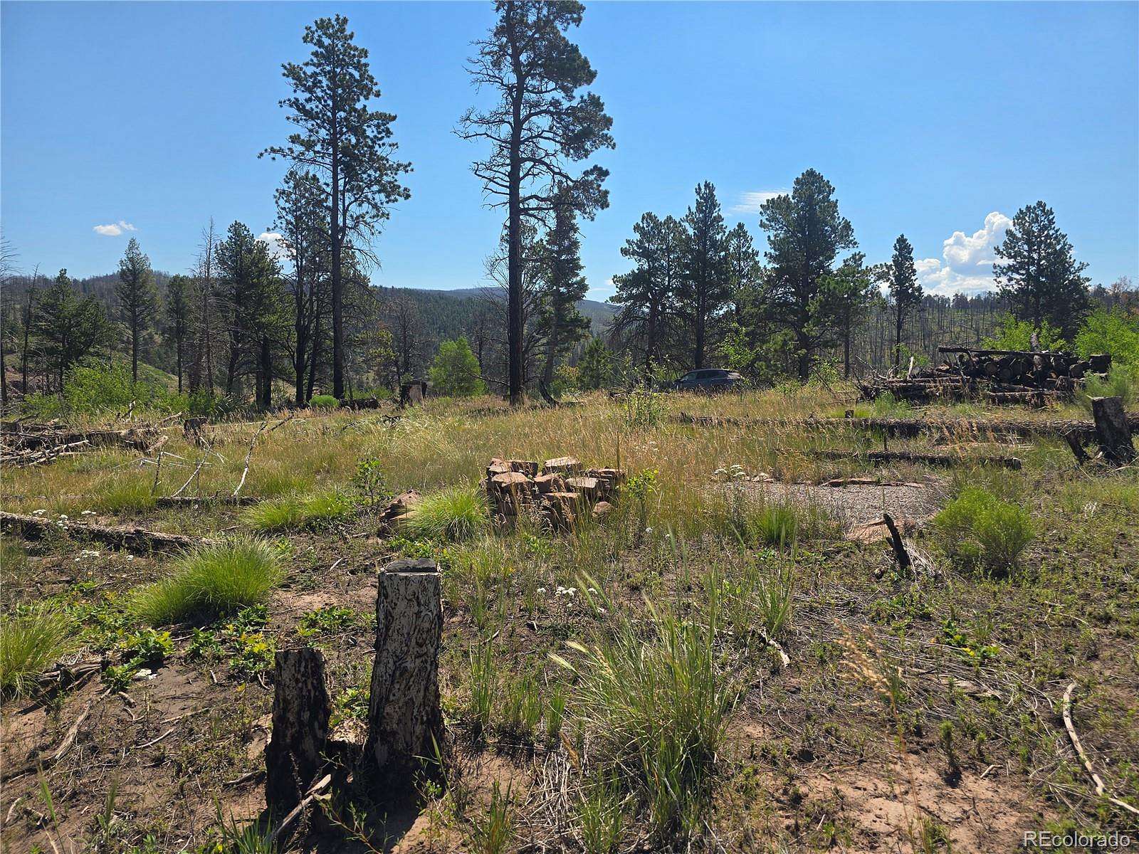 2.62 Acres of Residential Land for Sale in Fort Garland, Colorado