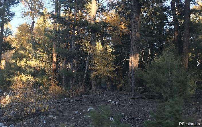 1 Acre of Residential Land for Sale in Mosca, Colorado