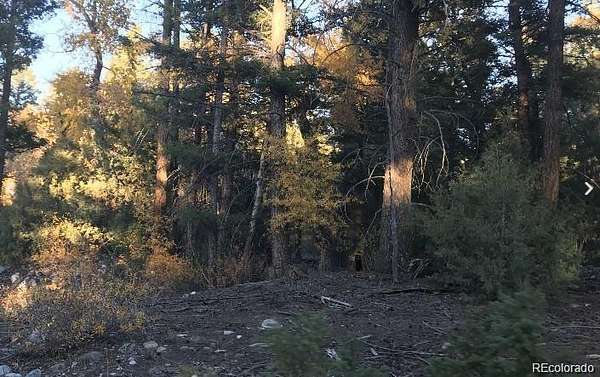 1 Acre of Residential Land for Sale in Mosca, Colorado