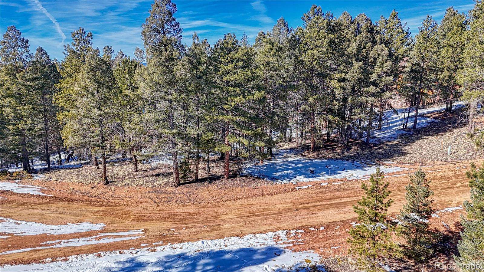 0.6 Acres of Residential Land for Sale in Florissant, Colorado