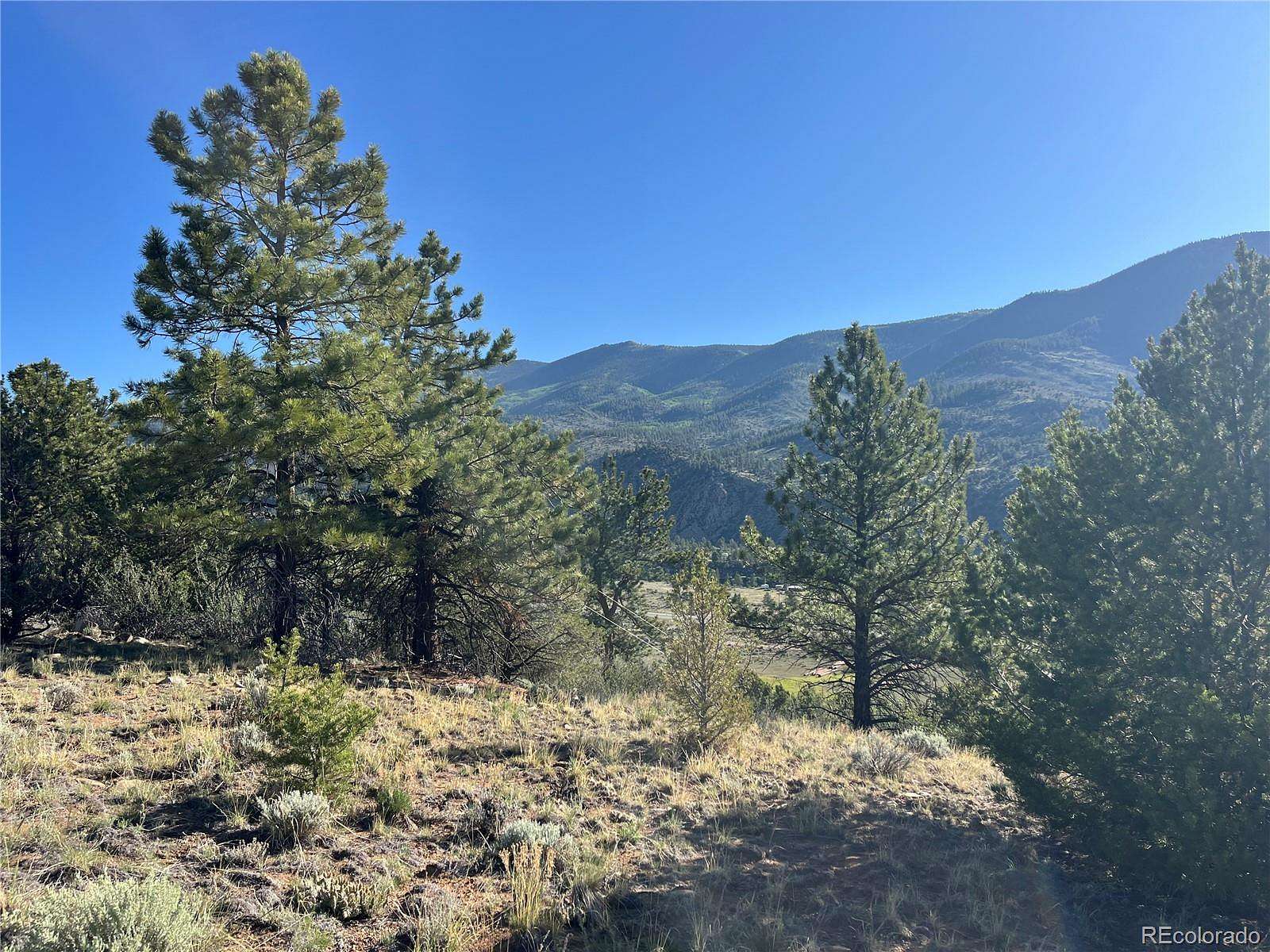 2.58 Acres of Residential Land for Sale in Buena Vista, Colorado