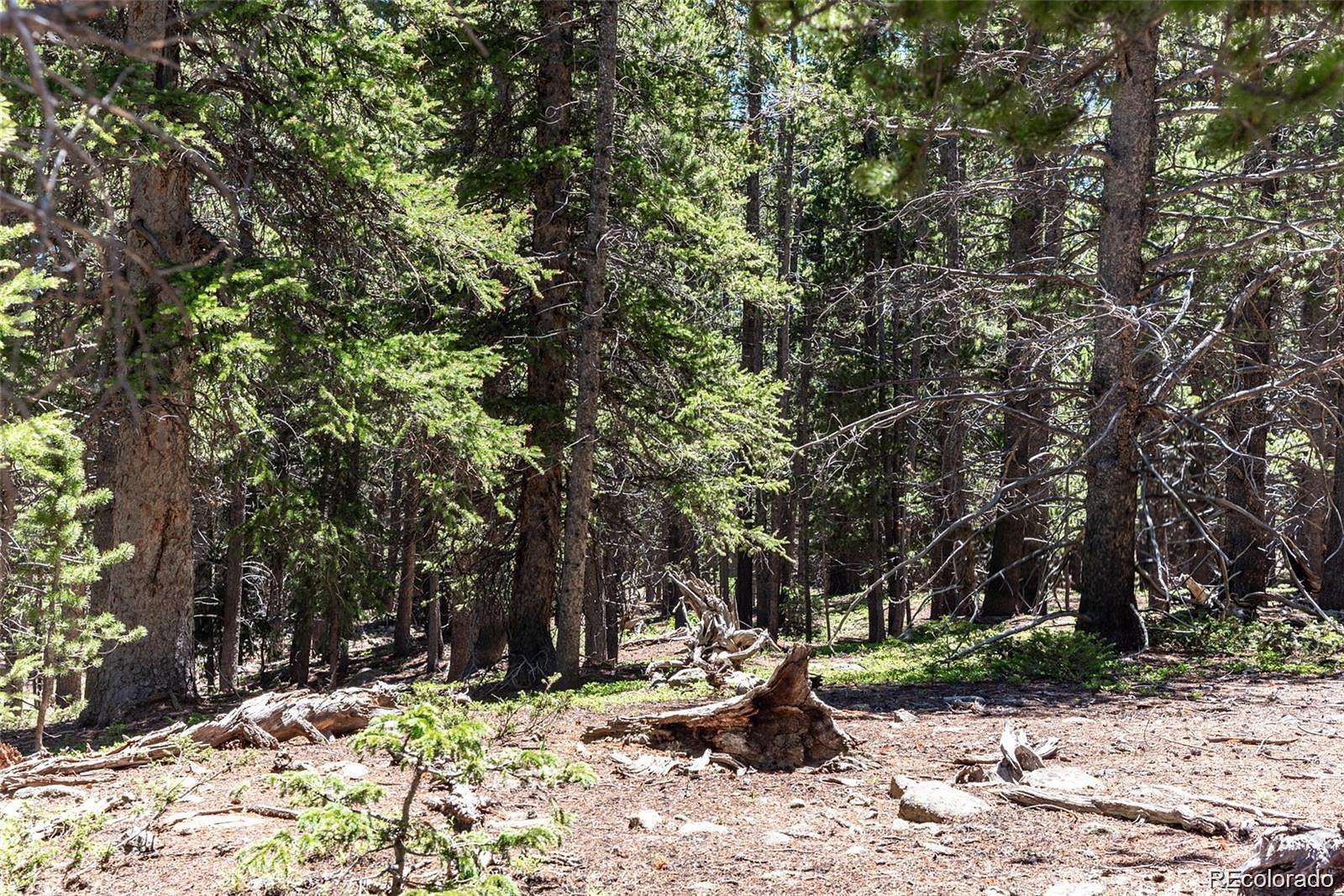 0.92 Acres of Residential Land for Sale in Fairplay, Colorado