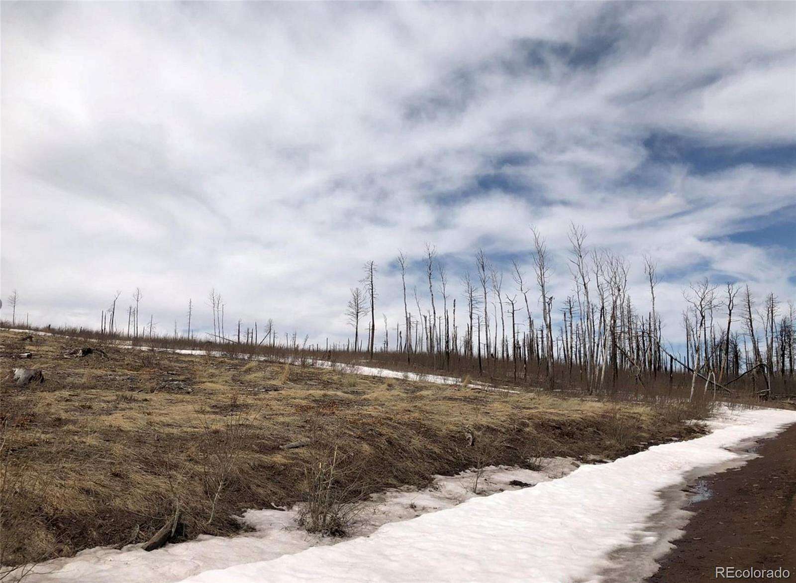 5.19 Acres of Residential Land for Sale in Fort Garland, Colorado