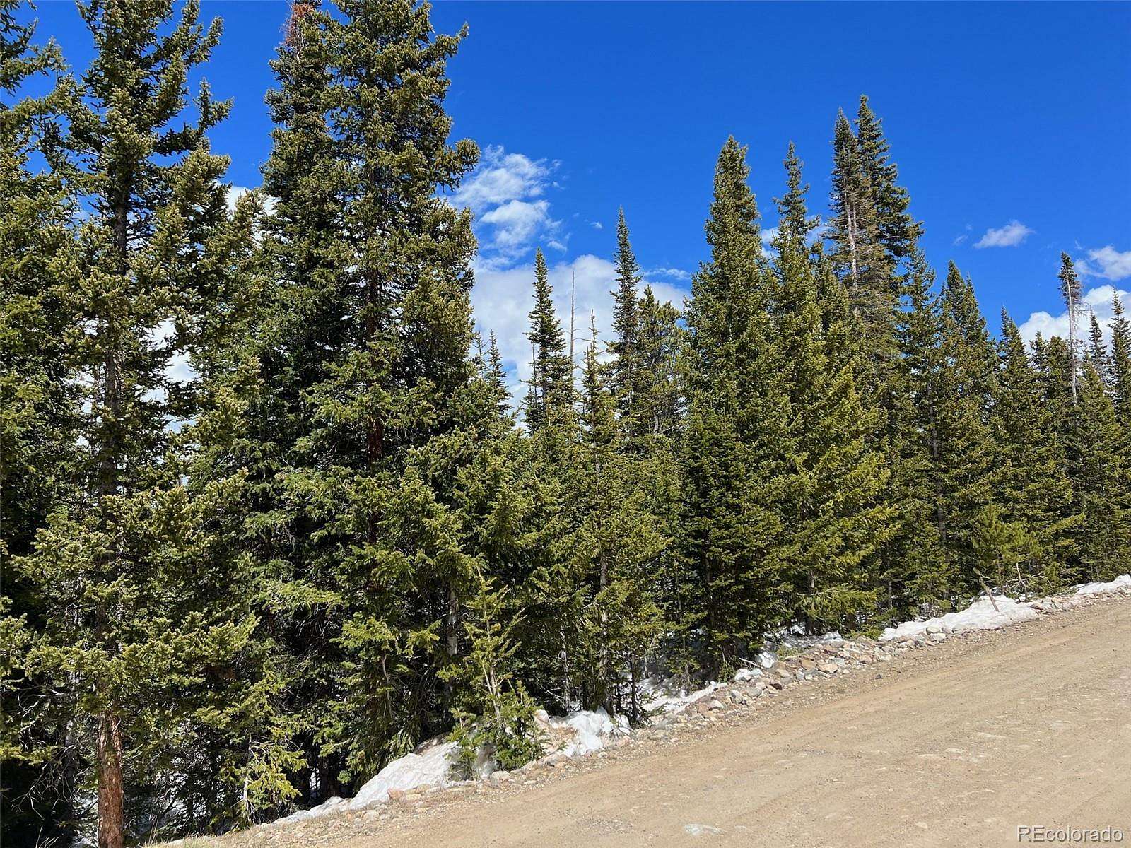 1 Acre of Residential Land for Sale in Fairplay, Colorado