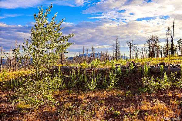 1.5 Acres of Residential Land for Sale in Fort Garland, Colorado