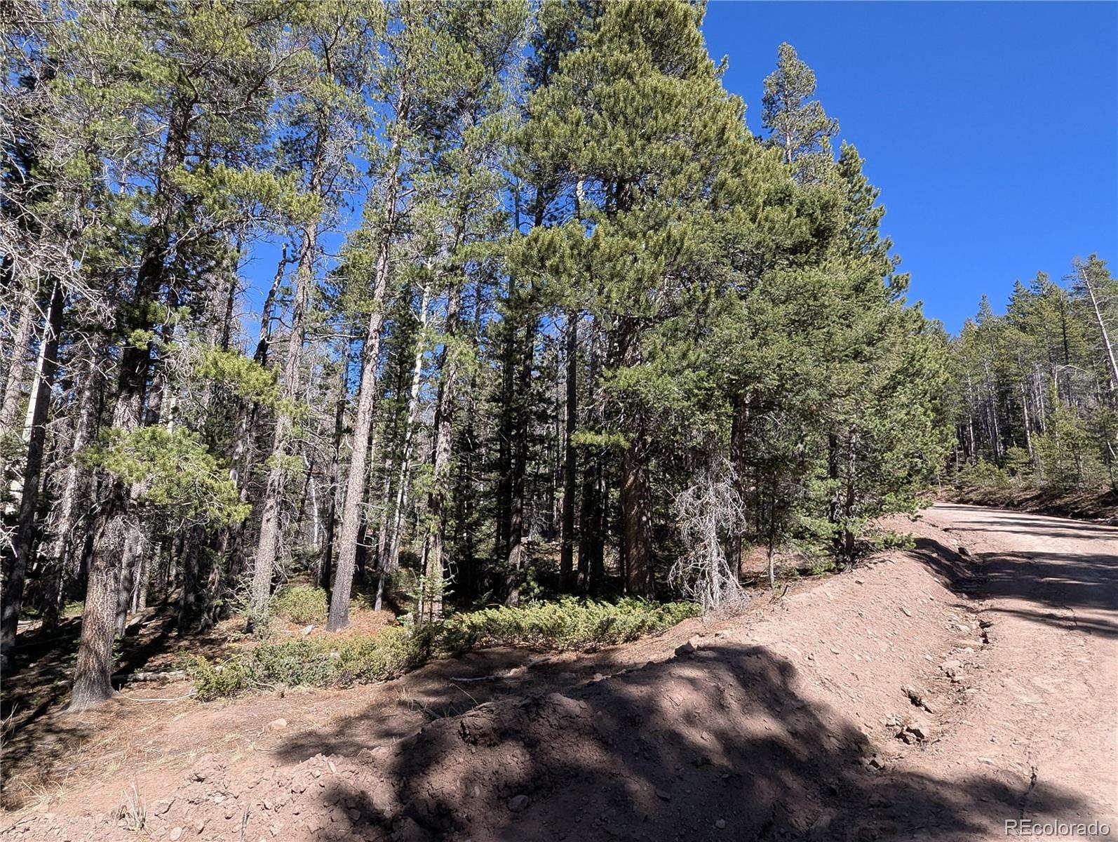 2 Acres of Residential Land for Sale in Fort Garland, Colorado