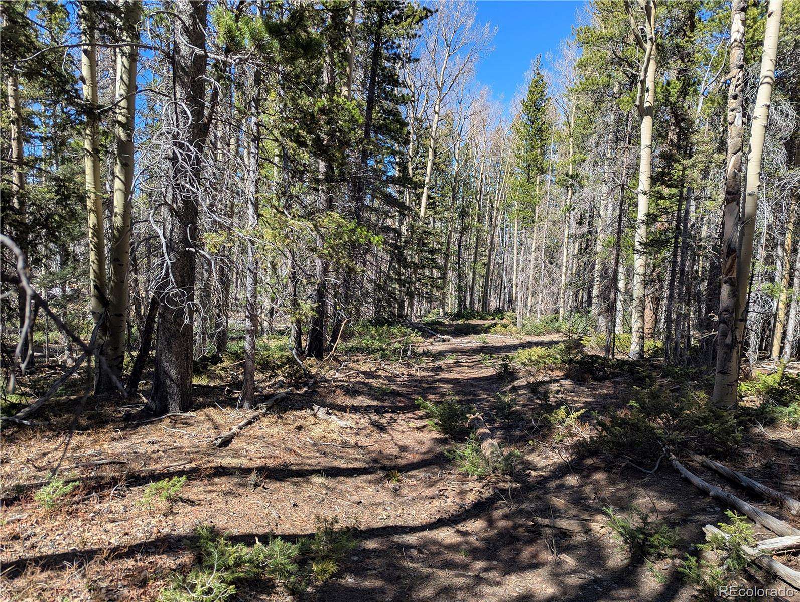 2 Acres of Residential Land for Sale in Fort Garland, Colorado
