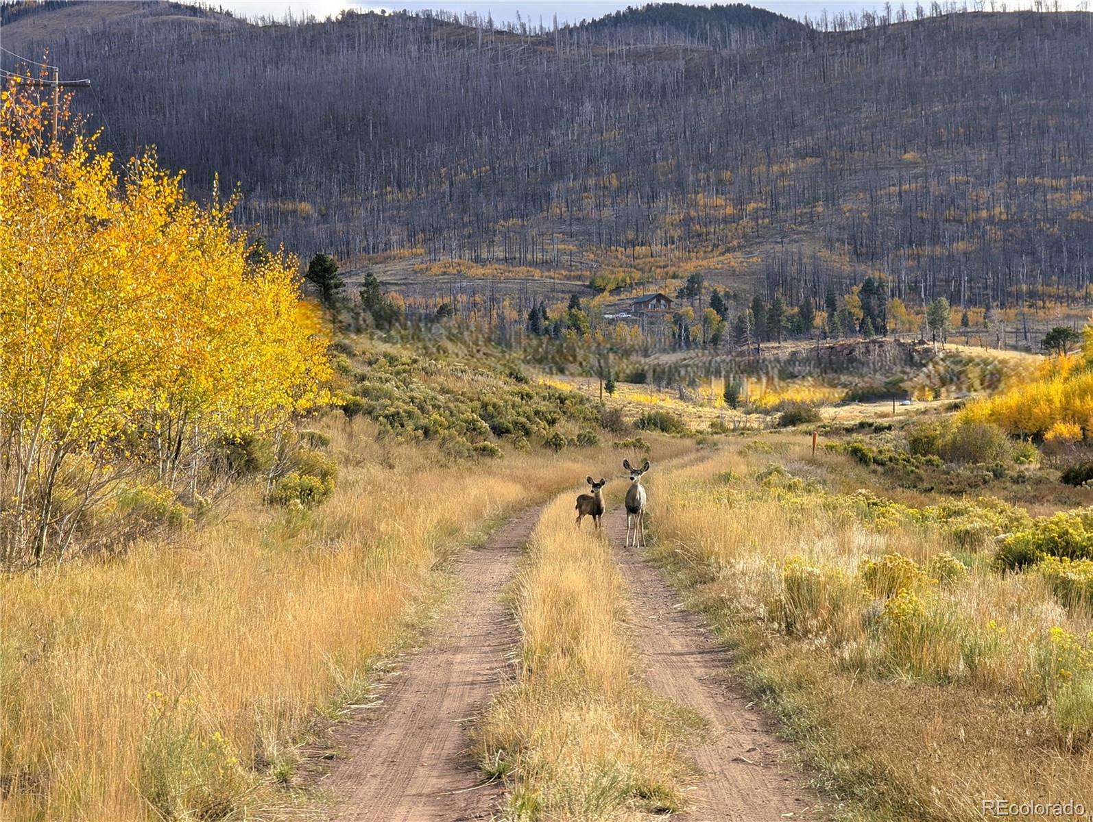 2.1 Acres of Residential Land for Sale in Fort Garland, Colorado