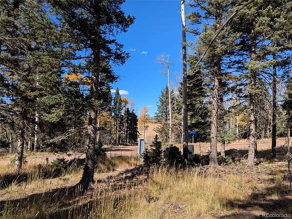 1.4 Acres of Residential Land for Sale in Fort Garland, Colorado