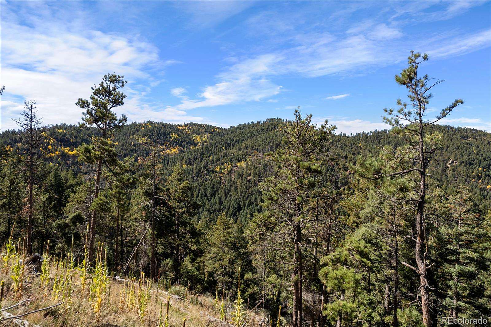 4 Acres of Residential Land for Sale in Larkspur, Colorado